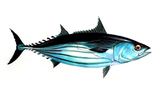 吞拿鱼先生方形  - logo.png